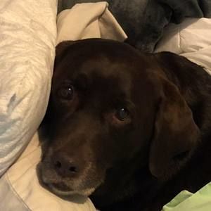 Meet your Posher, Becky